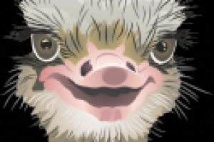 Работа 2704238