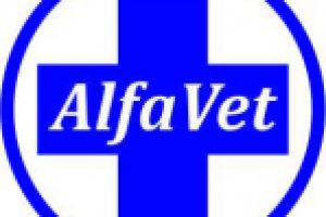 Работа 2338029