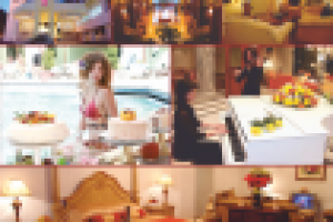 Работа 2703363