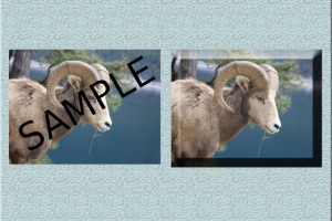 Работа 4074759