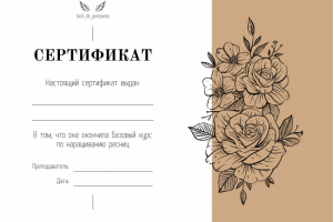 Сертификат для бьюти мастера