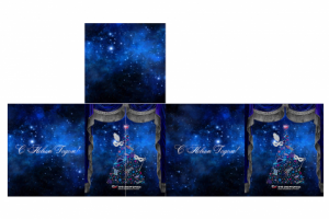 Развертка упаковки для НПО ЭНЕРГОМАШ