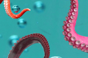 Работа 4082464