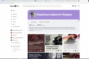 Ведение канала на Яндекс Дзен