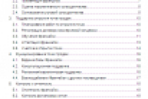 разработка Регламента работы Франчайзера