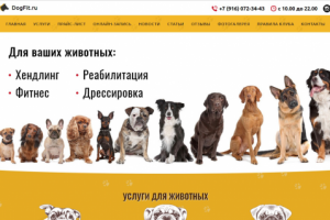 Верстка и интеграция сайта Wordpress