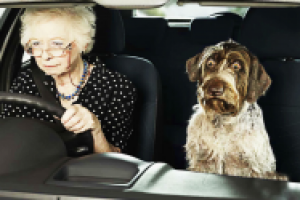 Лучше хорошо ехать, чем плохо идти