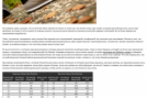 Спортивная обувь