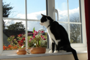 Дело мастера боится