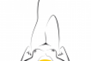 Работа 1033994