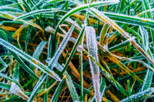 Работа 4071080