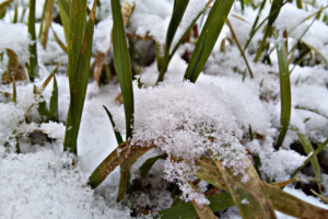 Работа 4071078