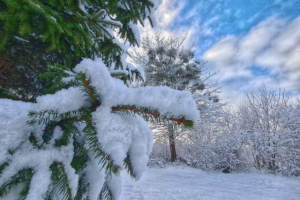 Работа 4071077