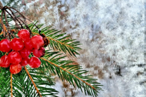 Работа 4071058