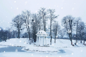 Работа 4071082