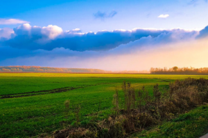 Работа 4071062