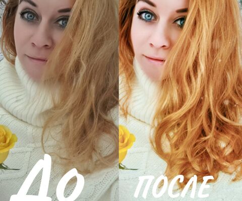 img4071060.png