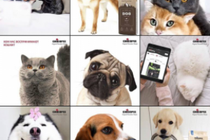 Оформление и ведение страницы instagram