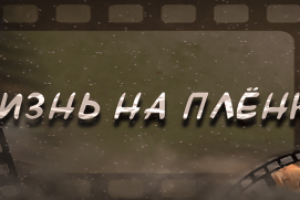 Работа 3981625