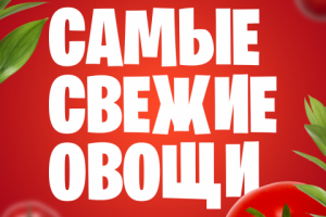 Баннер овощи