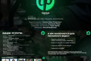Презентация для студии CACTUS