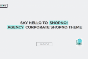 Landing Page SHOPNO