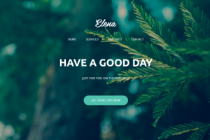 Landing Page Elena