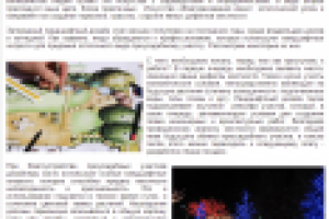 Ландшафтные хитрости