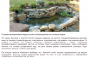 Декоративный пруд своими руками