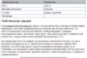 Краткая Биография. Денис Бойцов