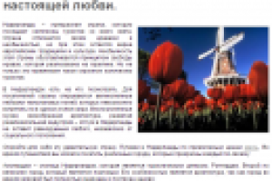 Нидерланды