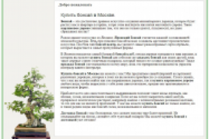 Купить бонсай в Москве