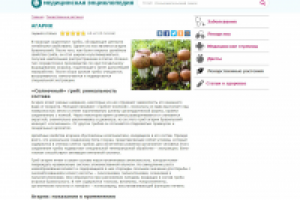 Агарик бразильский