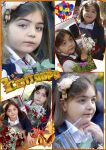 img2933439.png
