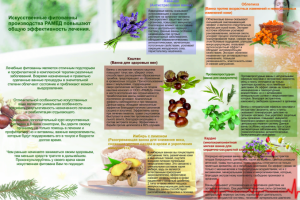 Ра Мед Буклет 1 2 сторона