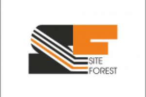 Лого Site-forest