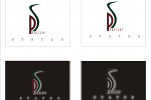 Статус презент 1