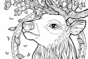 Работа 3636062