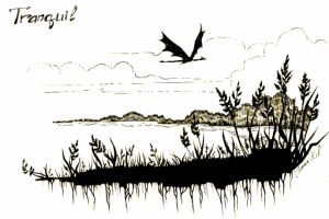 Скетч на заданную тему "Спокойный"