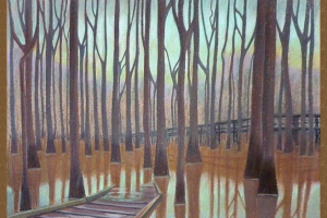 Конгари парк