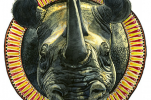 Белый носорог