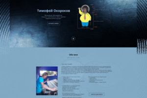 Моё портфолио