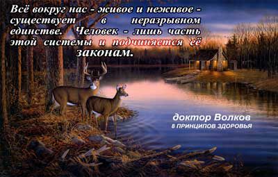 img3720196.png