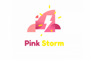 Блогерское Агенство "Pink Storm"