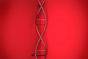 Работа 1637481