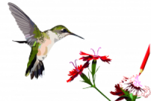 Работа 2749600