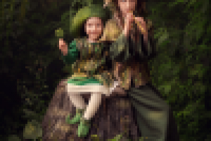 Маленькие хранители волшебного клевера