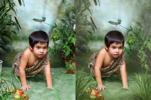 img3200448.png