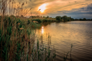 Вечер тихой птицею над рекой плывет