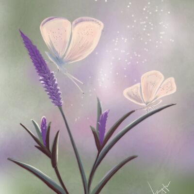 img4050527.png